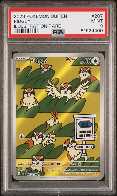 2023 Pokemon Obf En-obsidian Flames 207 Pidgey Illustration Rare PSA
