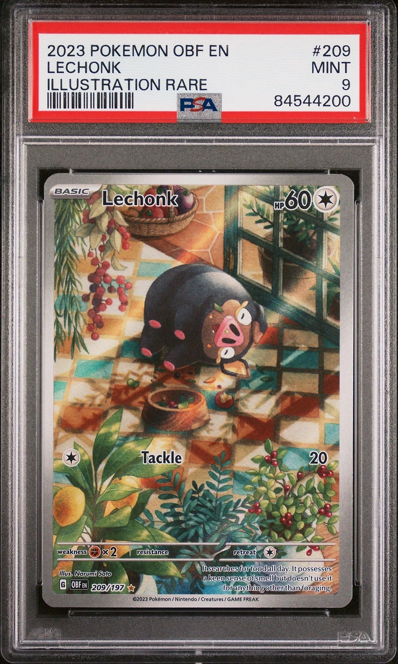 2023 Pokemon Obf En-obsidian Flames 209 Lechonk Illustration Rare PSA