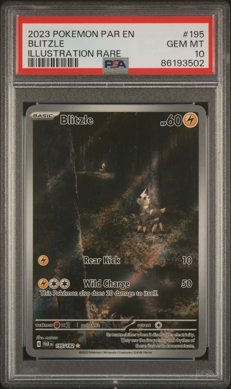 2023 Pokemon Par En-paradox Rift 195 Blitzle Illustration Rare PSA