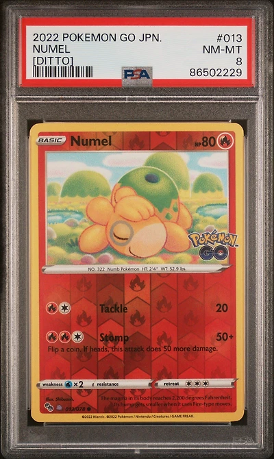 2022 Pokemon Go Japanese 013 Numel [ditto] PSA 8