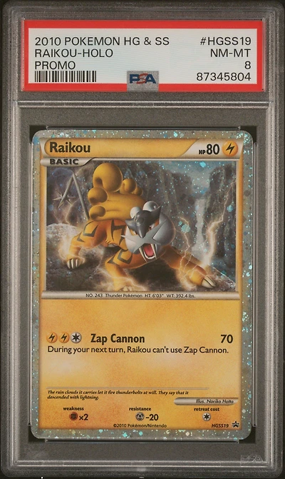 2010 Pokemon Heartgold & Soulsilver Promo Hgss19 Raikou-holo PSA