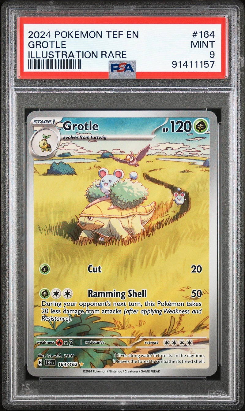 2024 Pokemon Tef En-temporal Forces 164 Grotle Illustration Rare PSA
