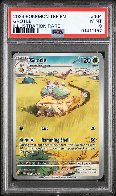2024 Pokemon Tef En-temporal Forces 164 Grotle Illustration Rare PSA