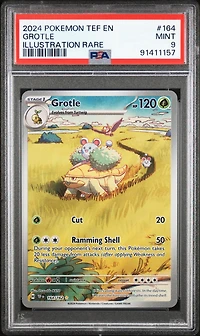 2024 Pokemon Tef En-temporal Forces 164 Grotle Illustration Rare PSA