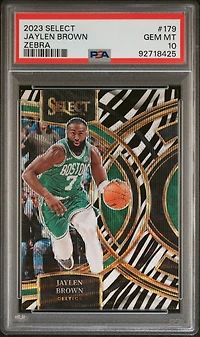 2023 Panini Select 179 Jaylen Brown Zebra Prizm PSA 10