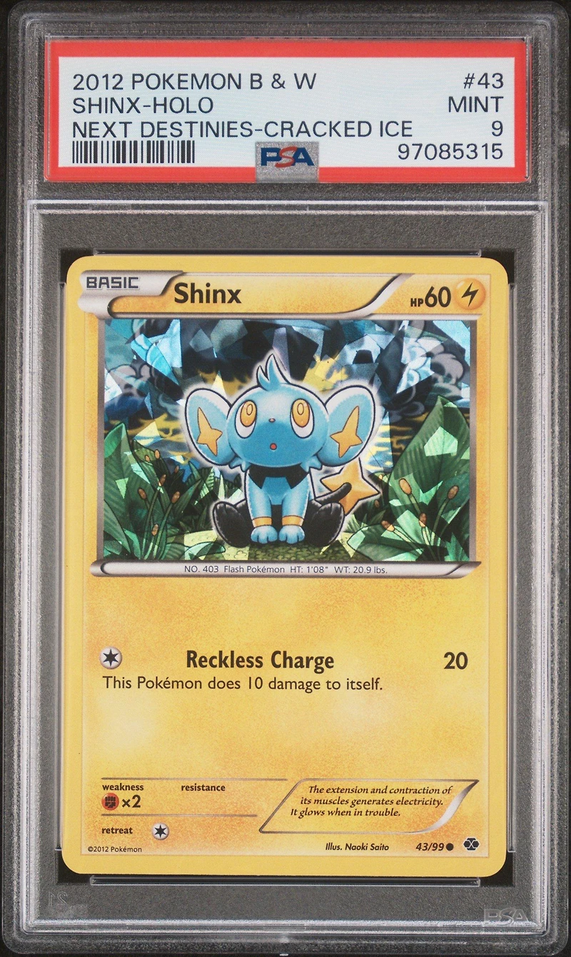 2012 Pokemon Black & White Next Destinies 43 Shinx-holo Cracked Ice PSA 9