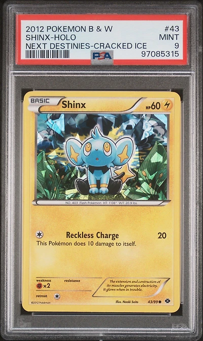 2012 Pokemon Black & White Next Destinies 43 Shinx-holo Cracked Ice PSA 9