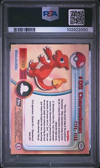 1999 Topps Pokemon Tv 5 Charmeleon Rainbow Foil PSA 8