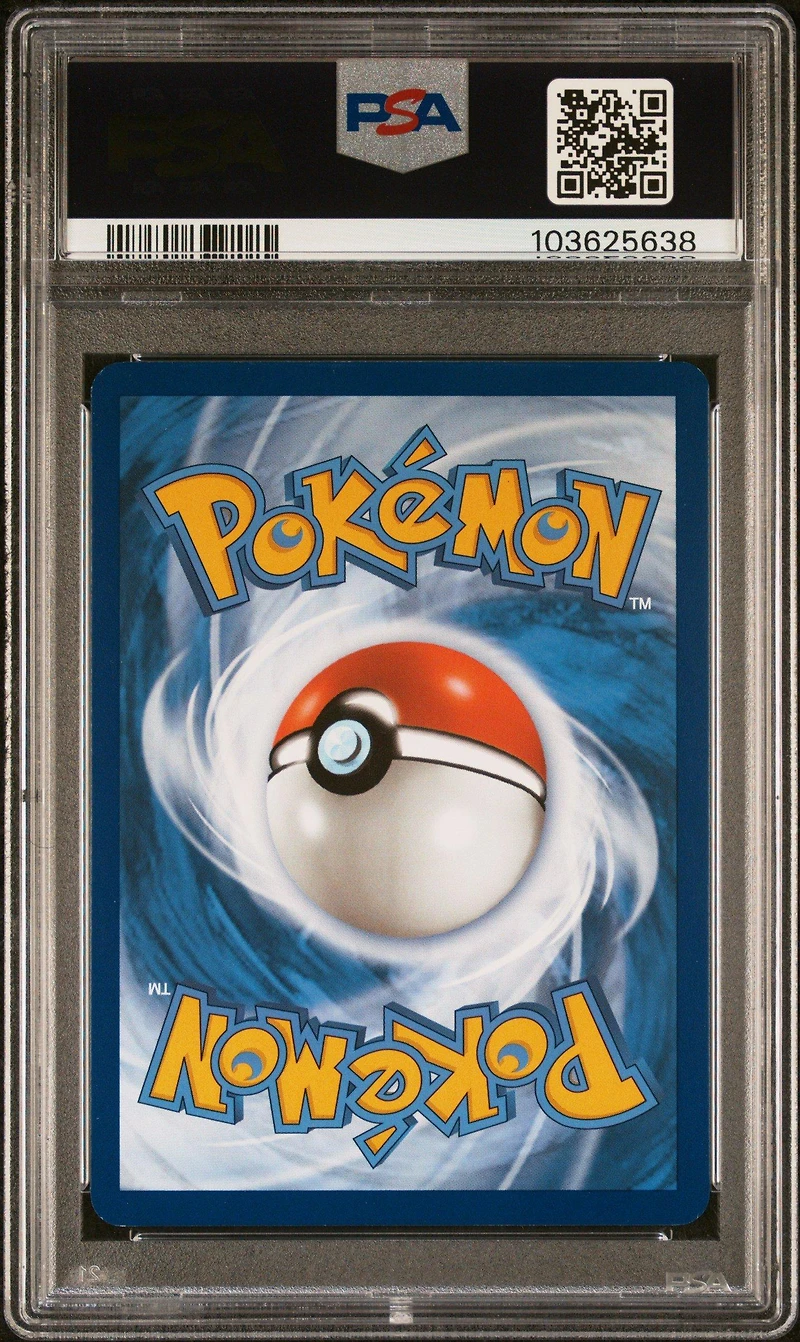 2023 Pokemon Mew En-151 170 Squirtle Illustration Rare PSA