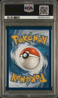 2024 Pokemon Tef En-temporal Forces 181 Chatot Illustration Rare PSA