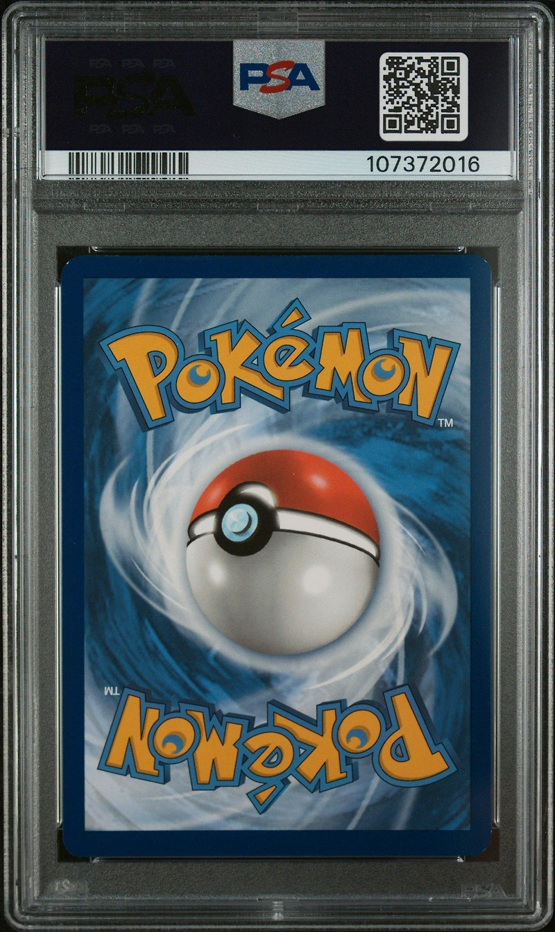 2024 Pokemon Tef En-temporal Forces 182 Minccino Illustration Rare PSA 9