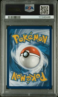 2025 Pokemon Jtg En-journey Together 162 Wailord Illustration Rare PSA