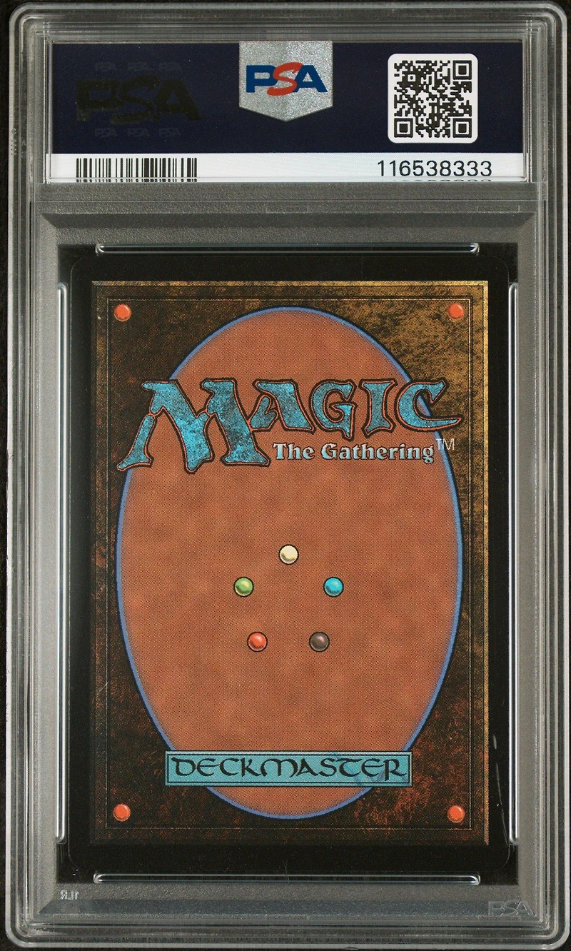 2024 Magic The Gathering Bloomburrow 348 Finneas, Ace Archer Anime Borderless-raised Foil PSA 10