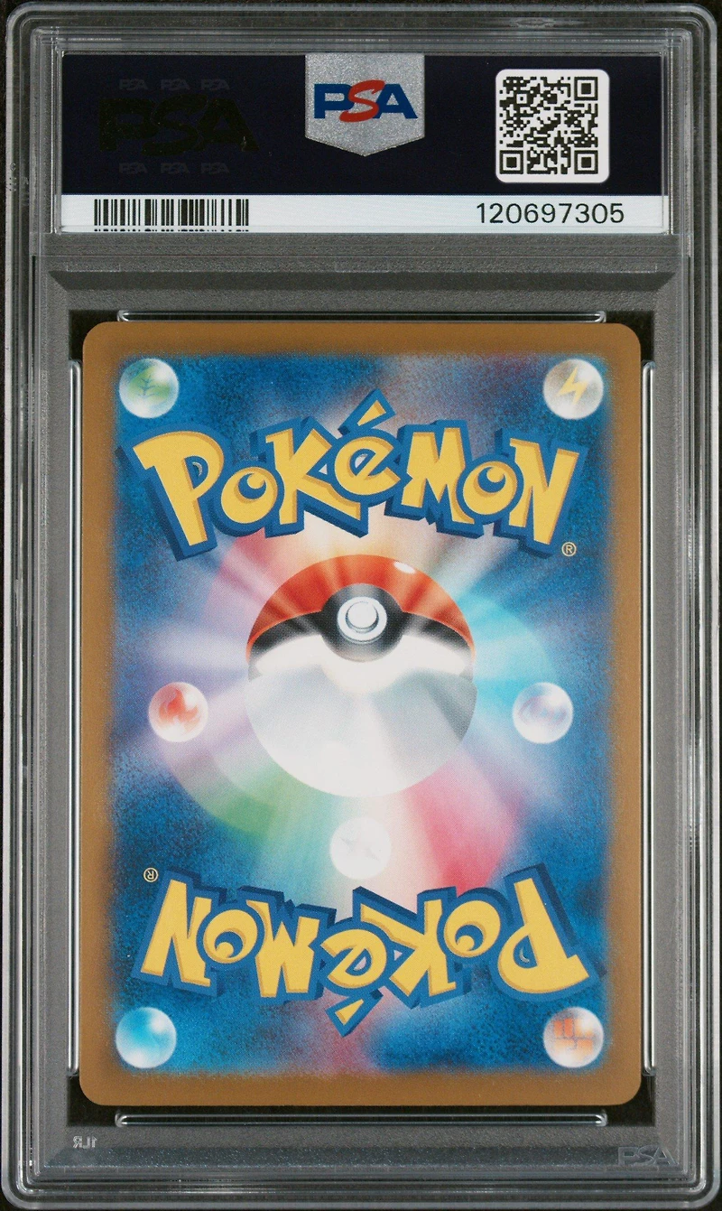 2025 Pokemon Japanese Sv-p Promo 241 Feraligatr Illustration Contest 2024 PSA 10