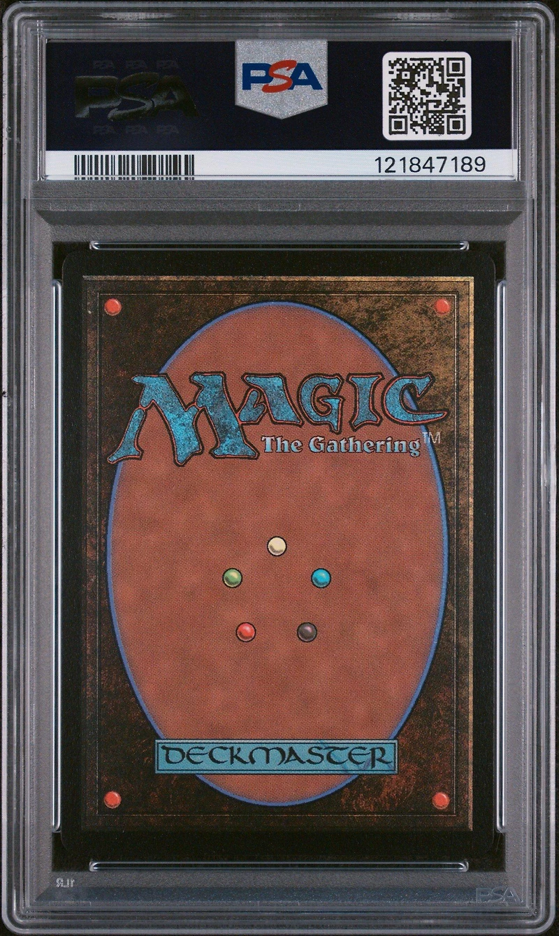 2024 Magic The Gathering Bloomburrow 345 Baylen, The Haymaker Anime Borderless-raised Foil PSA 10