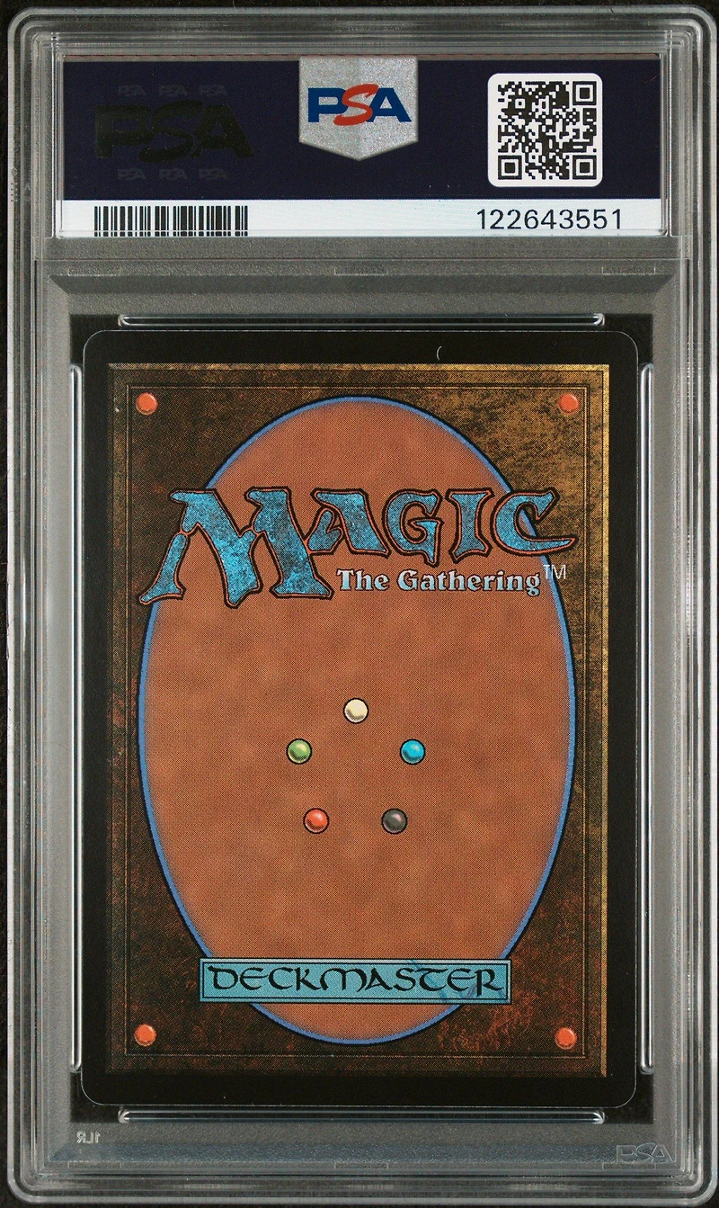 2025 Magic The Gathering Final Fantasy 0406 Traveling Chocobo Borderless PSA 10