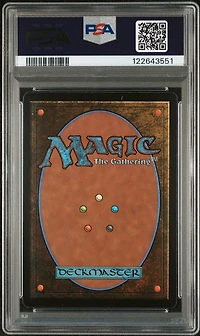 2025 Magic The Gathering Final Fantasy 0406 Traveling Chocobo Borderless PSA 10
