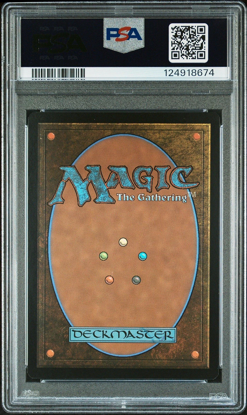 2025 Magic The Gathering Final Fantasy 0406 Traveling Chocobo Borderless PSA 9