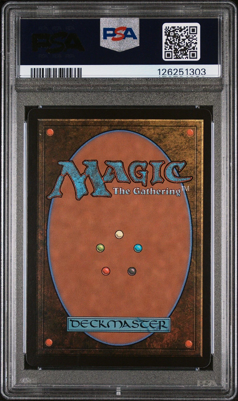 2025 Magic The Gathering Final Fantasy 0548 The Wandering Minstrel Character Borderless-surge Foil PSA 10