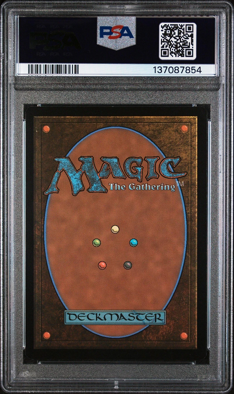 2025 Magic The Gathering Final Fantasy 0321 Vivi Ornitier Artist Borderless PSA