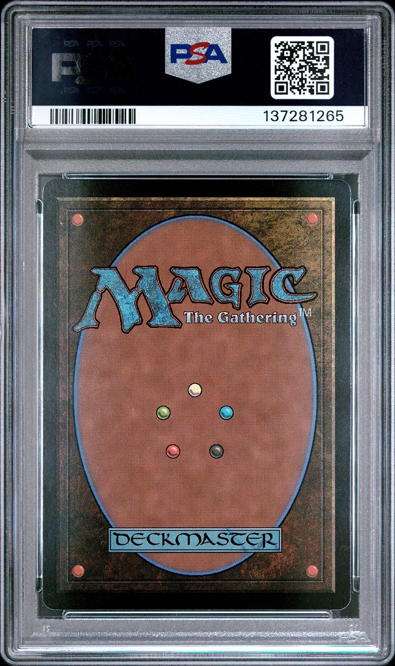 2025 Magic The Gathering Final Fantasy 0210 Traveling Chocobo PSA 10