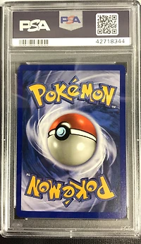 2003 Pokemon Skyridge H26 Raikou-holo PSA