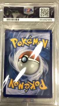 2019 Pokemon Sun & Moon Unified Minds 236 Fa/poke Maniac PSA 10