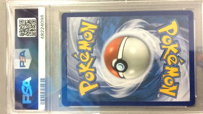2018 Pokemon Sm Black Star Promo Sm139 Fa/salamence Gx PSA NM-MT+ 8.5