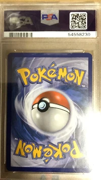 2016 Pokemon Xy Black Star Promo Xy158 M Beedrill Ex Mega Beedrill Ex Premium Collection PSA 8