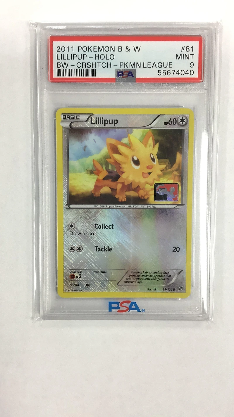 2011 Pokemon Black & White 81 Lillipup-holo Crosshatch-2011 Pokemon League PSA 9