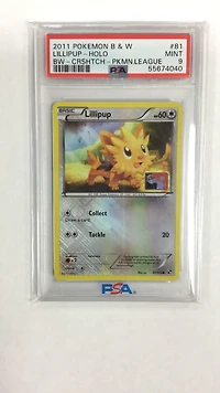 2011 Pokemon Black & White 81 Lillipup-holo Crosshatch-2011 Pokemon League PSA 9