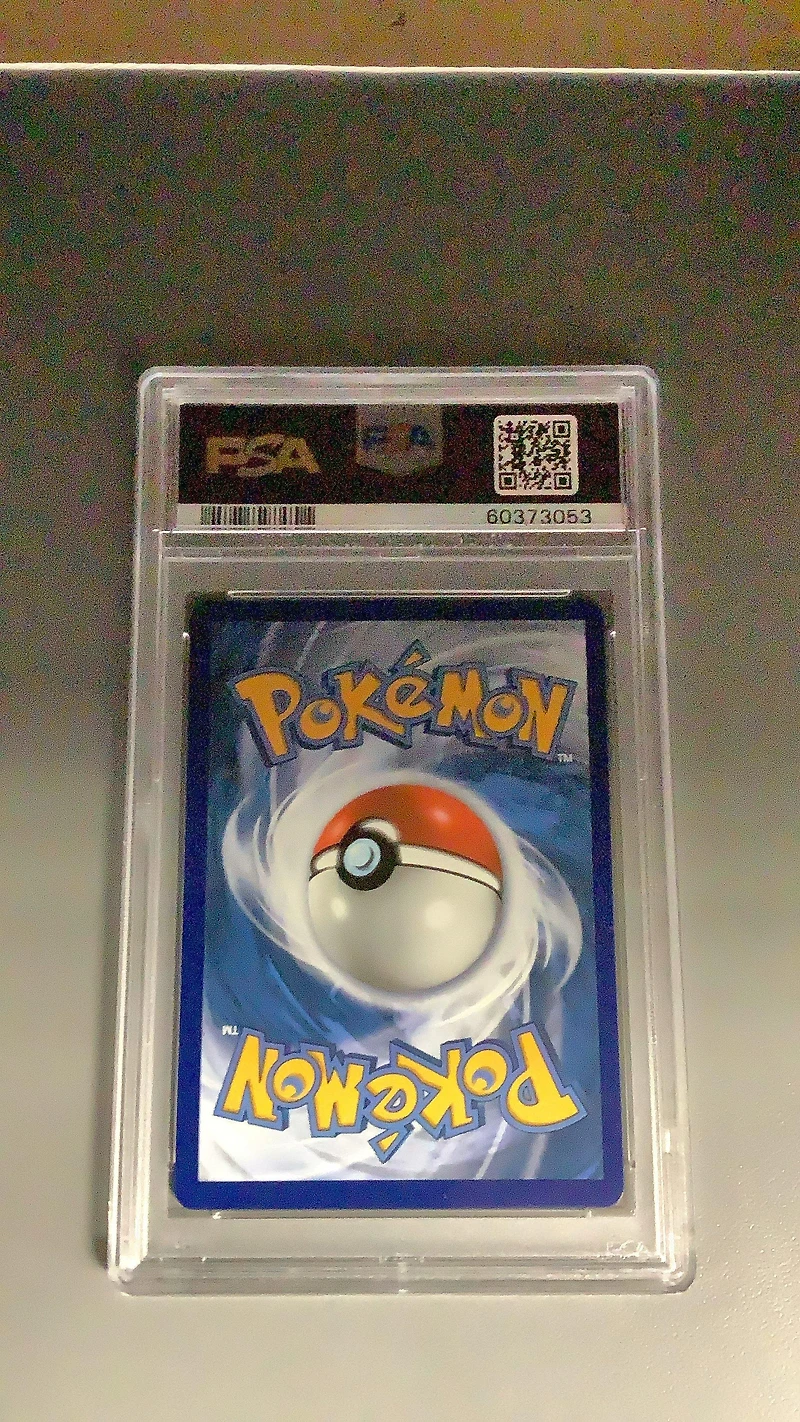 2019 Pokemon Sun & Moon Hidden Fates Sv23 Rockruff-holo PSA 9