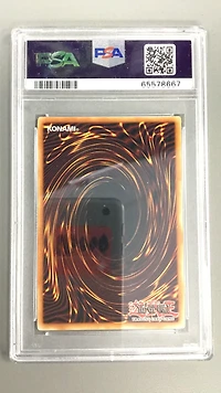 2009 Yu-gi-oh! Anpr-ancient Prophecy En092 White Night Dragon PSA 10