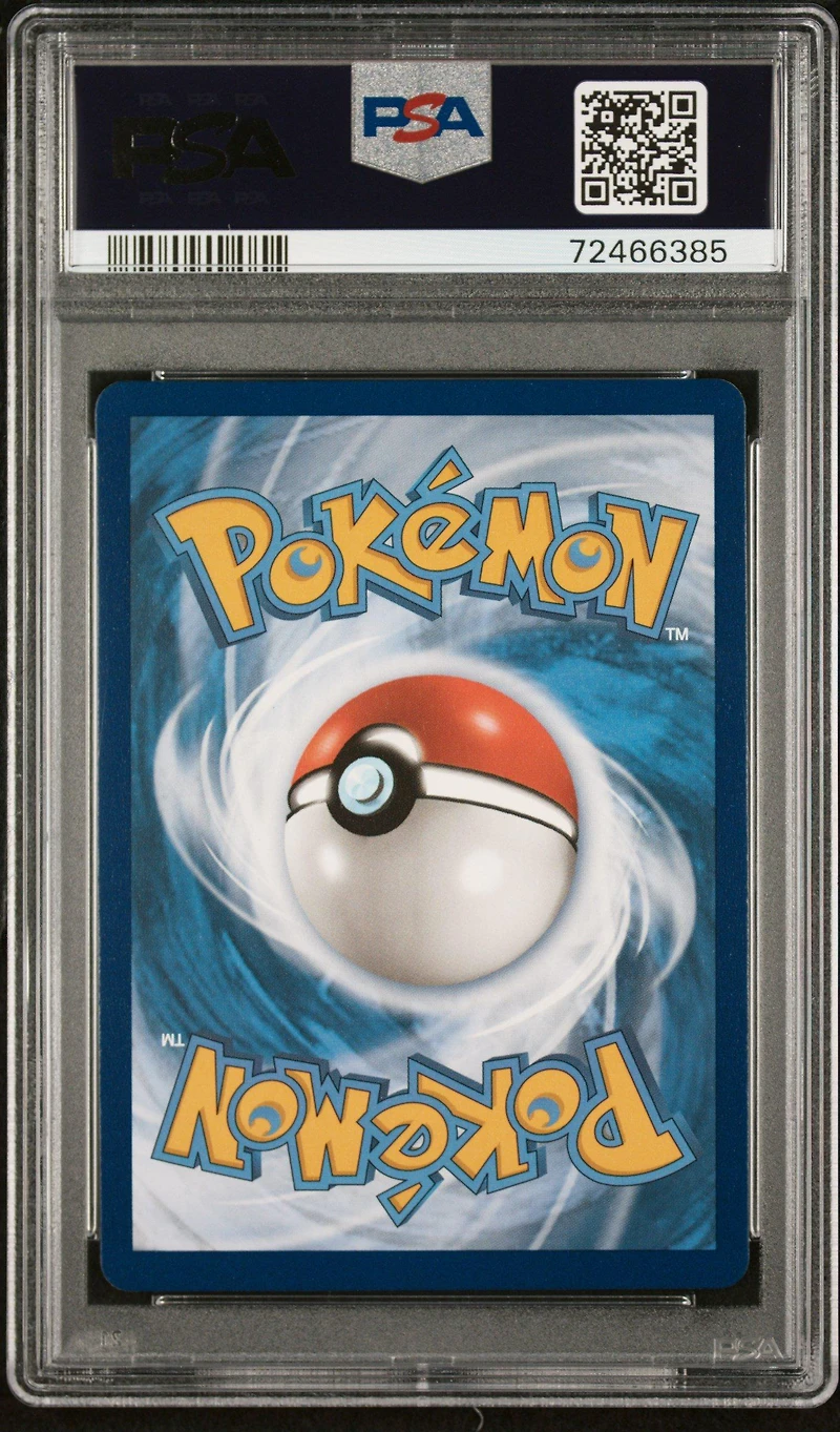 2022 Pokemon Swsh Black Star Promo 213 Full Art/lucario V Lucario Vstar Premium Collection PSA 10