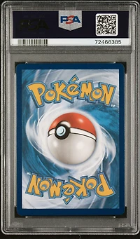 2022 Pokemon Swsh Black Star Promo 213 Full Art/lucario V Lucario Vstar Premium Collection PSA 10