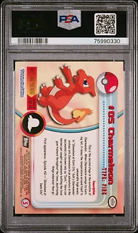1999 Topps Pokemon Tv 5 Charmeleon Foil PSA 8