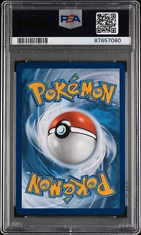 2024 Pokemon Svp En-sv Black Star Promo 074 Charizard Ex Paldean Fates Tin PSA