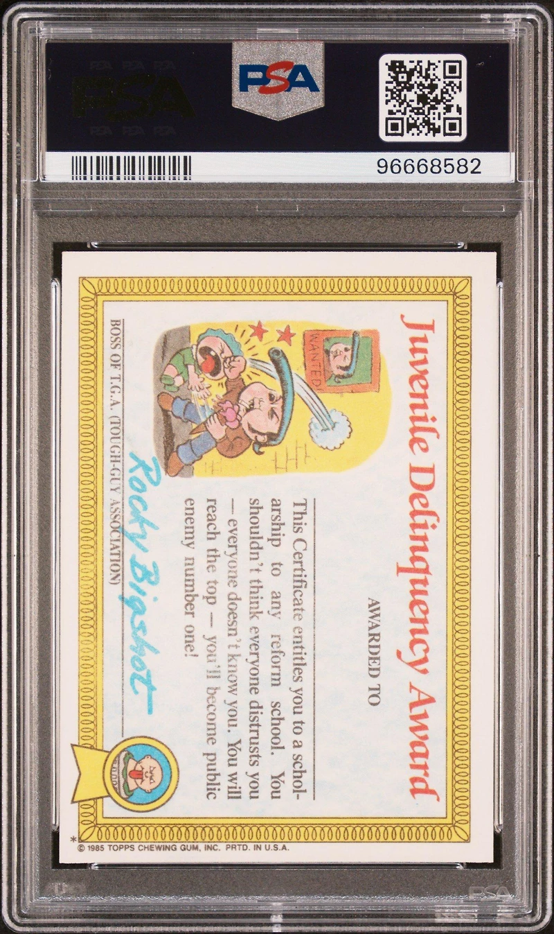 1985 Garbage Pail Kids Stickers 7a Stormy Heather PSA 9