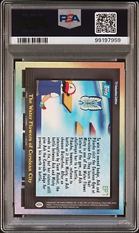 2000 Topps Pokemon Tv Animation Series 2 Episode Cards Ep7 The Water Flowers Of Cerulean City Foil PSA 8