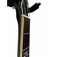 Used Epiphone MB250 Walnut Banjo