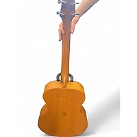 Used Breedlove USA Concert E Cinnamon Burst Acoustic Electric Guitar