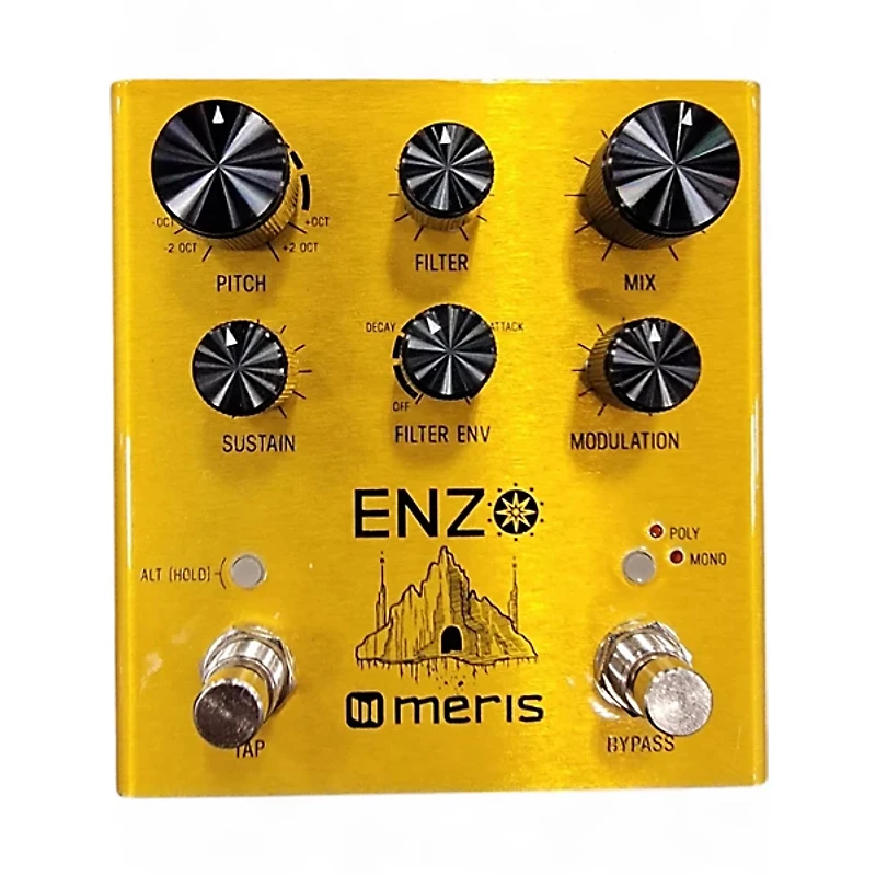 Used Meris Enzo Effect Pedal