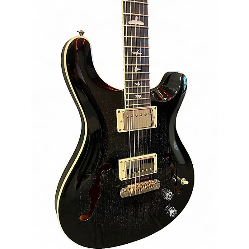 Used PRS SE HOLLOWBODY STANDARD Dog Hair Smokeburst Hollow Body Electric Guitar