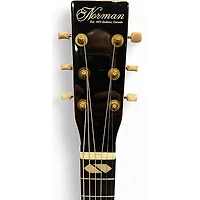 Used Norman ST40 CW Natural Acoustic Electric Guitar