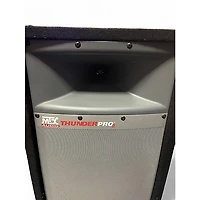 Used Mtx Audio TP1200 Unpowered Speaker