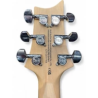 Used PRS Swamp Ash Special IRI BLUE Solid Body Electric Guitar