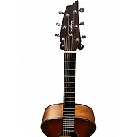 Used Breedlove Discovery Concert SUNBURST Acoustic Guitar