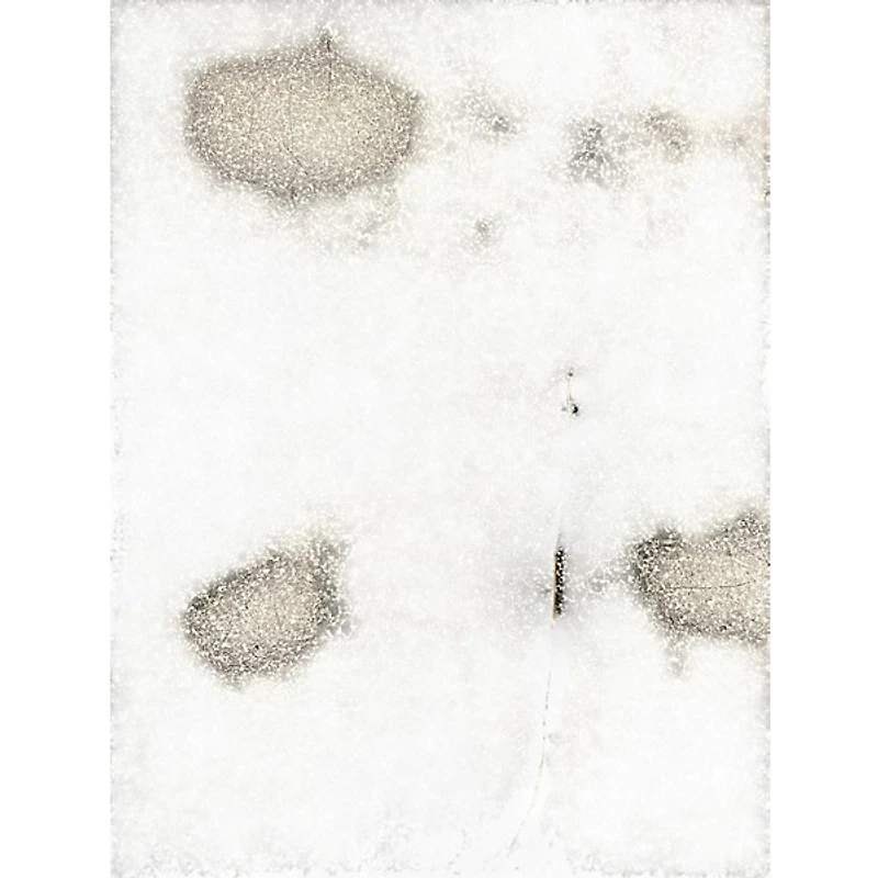 Used M-Audio Oxygen Pro 49 MIDI Controller