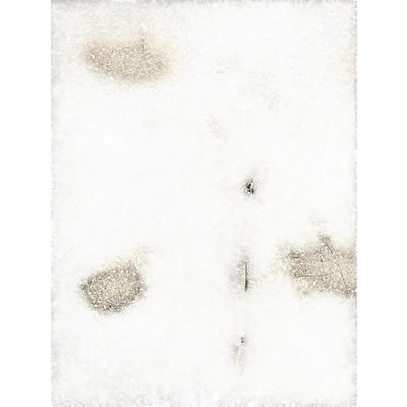 Used M-Audio Oxygen Pro 49 MIDI Controller