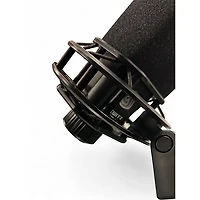 Used LEWITT RAY Condenser Microphone